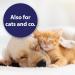 Canosept Wound Spray for Dogs 75ml - Dog Wound Spray for cleaning wounds - Dog first aid kit - Care of wound areas - Wound care - Reduces scab formation - Easy application (Pack of 2) - Buy Online on GoSupps.com