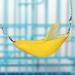 WATAWATA Hamster Swing Hanging House Hammock for Small Young Rodent Pet Bed or Sleeping Nest (Banana) - Buy Online on GoSupps.com