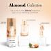 SOLINOTES Almond Perfume for Women - Eau De Parfum | Delicate Floral and Soothing Scent - Made in France - Vegan - 1.7 fl.oz - Buy Online on GoSupps.com