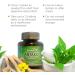 Buy Antaxid Calendula & Mint - 60 Chewable Tabs for Stomach Relief | Soothing Acid Reflux & Fullness - Buy Online on GoSupps.com