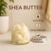 GiDeli Shea butter 100 pure and unrefined natural shea butter for skin hair and DIY cosmetics 1000 g - Buy Online on GoSupps.com
