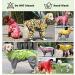 TFeng Dog Raincoat with Removable Hoodie - Waterproof Outdoor Dog Jacket (10 Sizes Green 60cm Back Length) - Buy Online on GoSupps.com