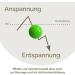 2x DBT Skills Hedgehog Ball | Green Magnetic Acupressure Ball for Stress Relief Massage & Mobility | 47mm Tension Relief Tool - Buy Online on GoSupps.com