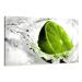 Visario Canvas print 80 x 60 cm Nr. 4131 Lime Gr e Brand Original Stretched Canvas Print 31.5 x 24 inches Green