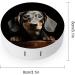 Portable Dachshund Contact Lens Case - Travel-Friendly Storage Box for All Your Lens Needs - Buy Online on GoSupps.com