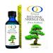 Optimally Organic Wild Crafted Red Pine Needle Oil - Fresh Light Pine - 2 Fl Oz.