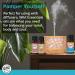 Wild Essentials 100% Pure White Sage Essential Oil - 10ml | Premium Grade Made in USA | Cleansing & Relaxing Aromatherapy Oil - Buy Online on GoSupps.com