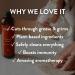 Immunity Boost Cleaner Concentrate by REVIVEEO | Multi-Purpose Non-Toxic Plant-Based - International Shipping - Buy Online on GoSupps.com
