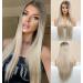 Vebonny Silberblonde Lace Front wig with side parting ombre brown wig straight hair wig long hair wig with baby hair synthetic wig 22 inch vebonny-087 #087