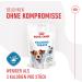 Royal Canin Training Treats | Pack of 3 | 3 x 110 g | Snacks for Dogs of All Sizes & Breeds | In Practical Resealable Bag | From 6 Months of Life | With Poultry - Buy Online on GoSupps.com