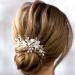 Evild Wedding Hair Side Comb Silver Rhinestone Flower Hair Comb Bridal Hair Clips Headpieces Wedding Hair Accessories for Brides and Bridesmaids