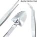 2-Piece Stainless Steel Tweezers Set | Double Pliers for Gardening Aquatic Plants & Reptiles - 23cm Feeding Tools - Buy Online on GoSupps.com