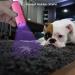 Leagy Mini UV Flashlight 2-Pack - 9 LEDs Pet Urine Detector & More - Ideal for Dog/Cat Stains Bed Bugs and Falsification Detection (Pink) - Buy Online on GoSupps.com