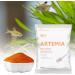JUNNOTI 60G Aquarium Hatching Fish Food Artemia Shelling Eggs Brine Shrimp Shelling Eggfood for Feeding Baby Fishes - Buy Online on GoSupps.com