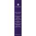 Buy By Terry Stylo-Expert Click Stick Concealer - Velvet Finish in Golden Brown | 1g | International Shipping Available - Buy Online on GoSupps.com