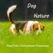 Dumi Pets Biodegradable Poop Bags Extra Thick and Strong Poo Bags Corn Starch Blended Pet Bags 20rolls 300 PCS Eco Friendly Dog Waste Bag (Black) 300 Black - Buy Online on GoSupps.com