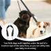 2 Double Dog Lead Adjustable Dog Lead Splitter Nylon Double Dog Lead for Puppy Walks Easy to Use-Dog Leash Coupler Lightweight Soft & Durable-(Red Black.) - Buy Online on GoSupps.com
