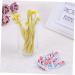 Minkissy 10-Piece Travel Toothbrush & Toothpaste Kit - Soft Bristle Hotel Essentials - Buy Online on GoSupps.com
