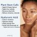 Timeless Anti-Aging Hydrating Serum - Hyaluronic Acid & Vitamin B5 for Youthful Skin | Firming & Rejuvenating Face Care for Men & Women | Made in USA - Buy Online on GoSupps.com