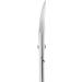 Nail Scissors Curved 24mm Manicure Nails Classic Staleks sc-61/2 - Buy Online on GoSupps.com