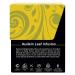Buddha Teas Organic Mullein Leaf Tea - 18 Bleach-Free Bags | USDA & CCOF Certified, OU Kosher - Buy Online on GoSupps.com