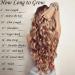 One Piece Half Head Synthetic Clip in Hair Extensions Ombre 5 Clips Long Straight Two Tone 30 Inch Natural Black - Buy Online on GoSupps.com