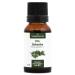 SYLVESTRE PIN - 15mL - Organic Bud Macerate