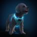 PCEOTLLAR Dog harness bright light dish LED charging & reflective illuminated light dishes for puppy small medium dog breathable light dishes blue-l l blue