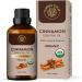 Carno Calm Cinnamon Oil for Diffuser | 100% Pure & Natural Cinnamon Essential Oil | Perfect for Aromatherapy Fragrance Skin Care & Lips| 30ml Cinnamon 30 ml (Pack of 1) - Buy Online on GoSupps.com