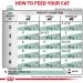 Royal Canin Feline Adult Diabetic S/O Veterinary Diet Wet Cat Food Pouches - 48 x 85g - Buy Online on GoSupps.com