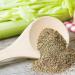Whole Dried Celery Seeds Premium Quality by Masala Cottage 25g-1.9kg (50 Grams) 50 Grams - Buy Online on GoSupps.com