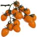 OUNONA 10pcs Faux Cherry artificial cherry tomatoes model grapes plant sculpture Grape mini autumn Longan raisin cherries Model litchi reward office vase realistic fruit Yellowx10pcs 12X20CMx10pcs - Buy Online on GoSupps.com