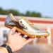 TURAFO Mens Track and Field Spikes - Professional Running Nail Shoes - Gold | Teenagers & Boys - Buy Online on GoSupps.com