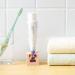 Toothpaste Squeezer Rolling Tube Toothpaste Dispenser Toothpaste for Seat Holder Stand Toothpaste Roller - Buy Online on GoSupps.com
