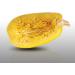 10 Seeds - SPAGHETTI Squash Vegetal - Cucurbita pepo - Buy Online on GoSupps.com