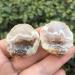 1pair Beautiful Natural Agate Geode Crystal Little Geode Cluster Rare Gem Home Decoration Collection for Gifts
