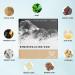 Larineco - Remineralizing Gum Larineco Remineralizing Gum Chewing Gum Organic Larineco Gum All Natural Mint Remineralizing Gum with Nano-Hydroxyapatite Sugar Free (2boxes) - Buy Online on GoSupps.com