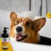HugglePets Bubbly Tails Citrus 2 in 1 Shampoo Conditioner for Dogs 500ml | Fresh-Smelling Grooming Solution | Paraben-Free, Vegan Friendly - Buy Online on GoSupps.com