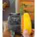 Cat Steam Brush - 3-In-1 Defur Comb for Cats | Rechargeable Pet Grooming Tool - Buy Online on GoSupps.com