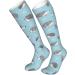 Cute Hedgehog Compression Socks for Men & Women | 15-20 mmHg Support for Running & Cycling - Buy Online on GoSupps.com