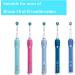 2-Piece Travel Case for Oral-B Electric Toothbrush - Perfect for Business Travel - Buy Online on GoSupps.com