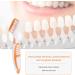 Denture Toothbrush - Durable & Safe Orange Brush to Prevent Dental Calculus | Best for International Shipping - Buy Online on GoSupps.com