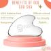 Stainless Steel Gua Sha Tool for Anti-Aging | Durable Facial Sculptor for Lymphatic Drainage & Puffiness | Includes Travel Pouch - Shop Now - Buy Online on GoSupps.com