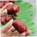 HOMSFOU 20Pcs Simulation jujube model pretend play fruit fruities Simulation Red Jujube Decors Fake Red Jujube artificial fruit Model fruit toys Photography Fruit Ornaments pvc nut food - Buy Online on GoSupps.com