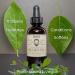 MONA Pure Herbal Beard Oil - 100% Natural Hair Growth Treatment | Thickens, Conditions, Softens, and Hydrates | Frizz-Free Hair & Nourished Skin | Patchouli & Lime 1.0 Fl Oz - Buy Online on GoSupps.com