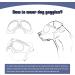 Large Dog Goggles Anti-UV Sunglasses for Large-Medium Dogs in Clear Blue - Fog-Proof and Windproof Eyewear - Buy Online on GoSupps.com