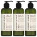 Common Ground All Natural Hand Wash Soap - Paraben & Cruelty Free - Daily - Organic Vegan Plant-Based - Botanical Scent & Avocado Oil - For All Men Women Eczema Sensitive Skin 8.4 Fl Oz (3 Pack)