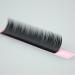 Shop Faux Mink Eyelash Extensions 0.10 D 8-15mm | Qeelasee Volume Lash Extensions - International Shipping Available - Buy Online on GoSupps.com