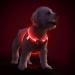PCEOTLLAR Dog harness brightly Usb Calcable Reflecting light harness Led lights Breast harness for puppy small medium-sized dog flashes breathable and lightweight black red-M m black red