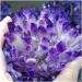 Natural Crystal Rough 1pc Natural Crystal Cluster Amethyst White Specimen Ore Purple Quartz Reiki Stone Raw Crystals Home Decor Great Choice for Home Decoration (Size : 350-400g) - Buy Online on GoSupps.com